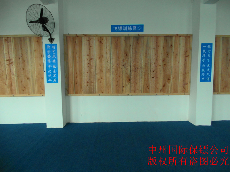 中州 國際保鏢公司 飛刀、飛鏢訓練區